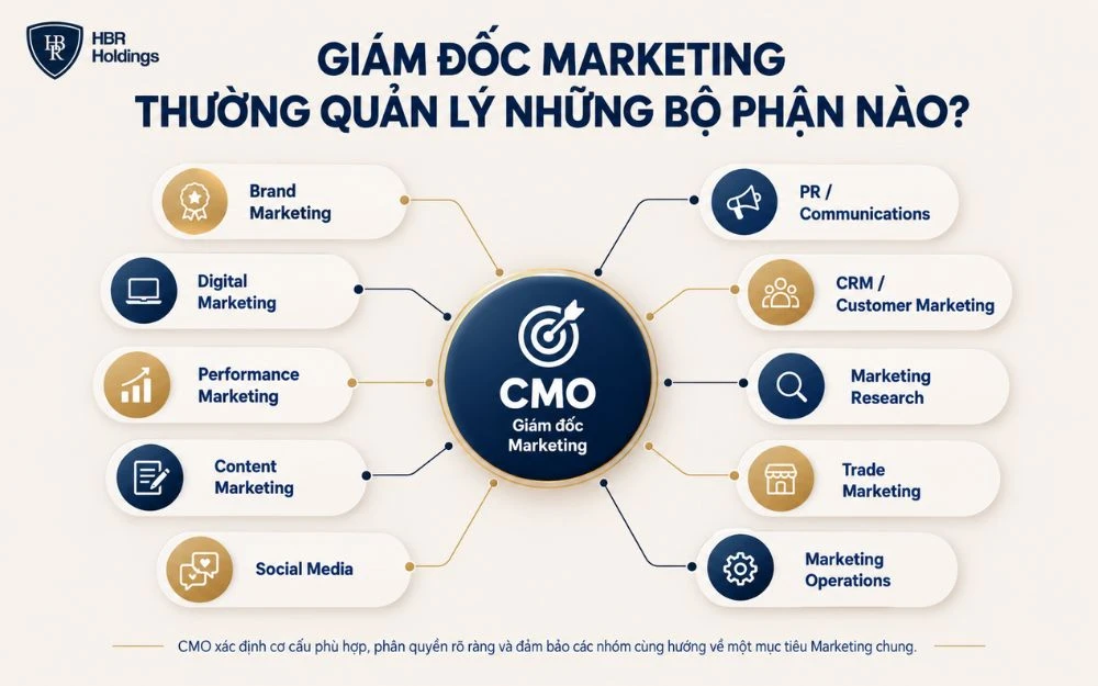 CMO quản lý và phối hợp các bộ phận Marketing hướng tới mục tiêu chung.