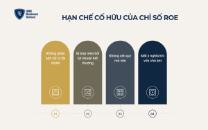 Hạn chế và sai lầm thường gặp khi dùng chỉ số ROE