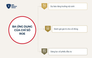 Ứng dụng chỉ số ROE trong doanh nghiệp và đầu tư