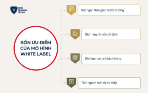 Ưu điểm của mô hình white label với doanh nghiệp