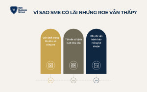 Vì sao doanh nghiệp SME có lãi nhưng chỉ số ROE vẫn thấp?