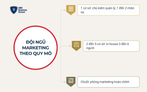 Mô hình đội ngũ marketing theo quy mô trung tâm